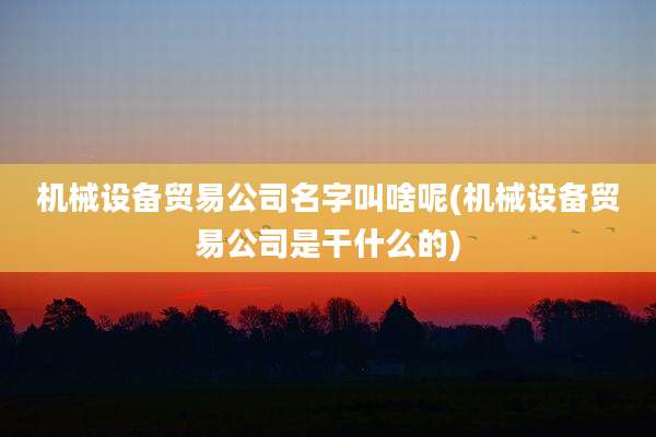 机械设备贸易公司名字叫啥呢(机械设备贸易公司是干什么的)