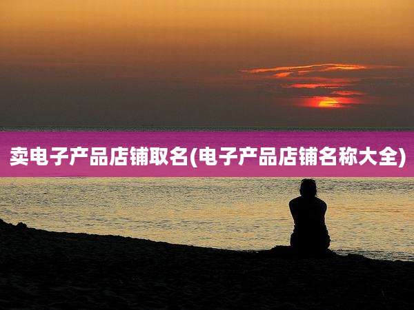 卖电子产品店铺取名(电子产品店铺名称大全)