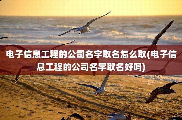 电子信息工程的公司名字取名怎么取(电子信息工程的公司名字取名好吗)