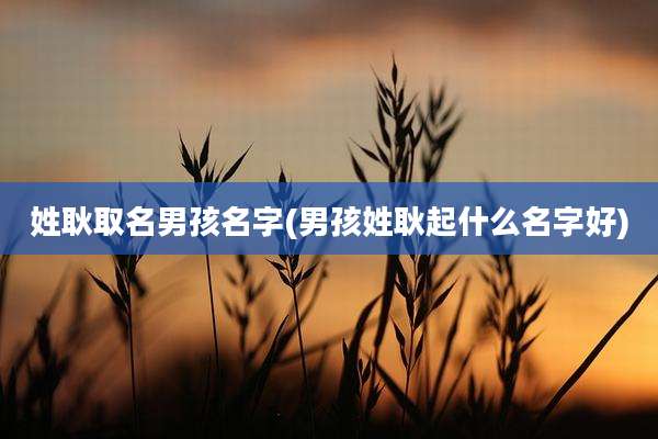 姓耿取名男孩名字(男孩姓耿起什么名字好)