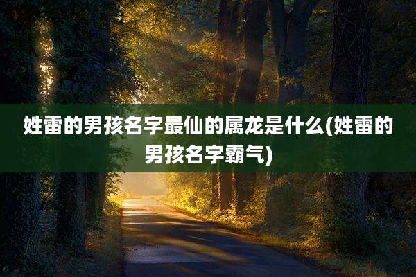 姓雷的男孩名字最仙的属龙是什么(姓雷的男孩名字霸气)