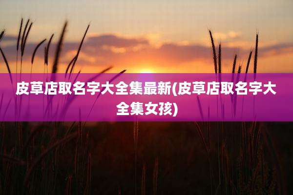 皮草店取名字大全集最新(皮草店取名字大全集女孩)