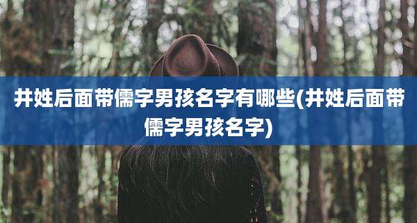 井姓后面带儒字男孩名字有哪些(井姓后面带儒字男孩名字)