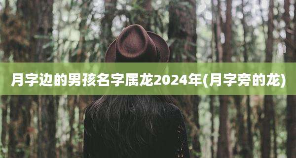 月字边的男孩名字属龙2024年(月字旁的龙)