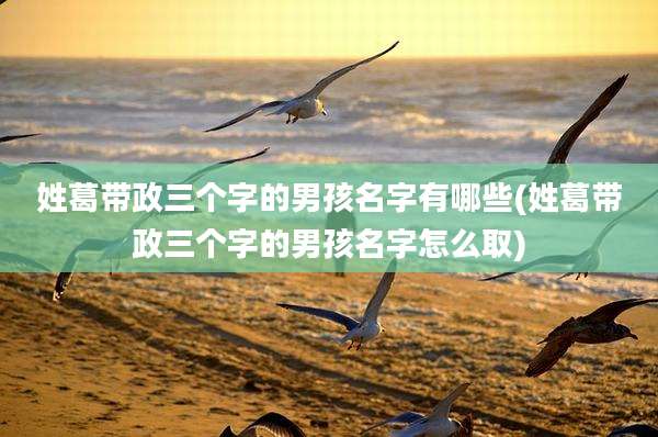 姓葛带政三个字的男孩名字有哪些(姓葛带政三个字的男孩名字怎么取)