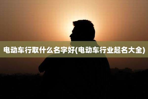 电动车行取什么名字好(电动车行业起名大全)