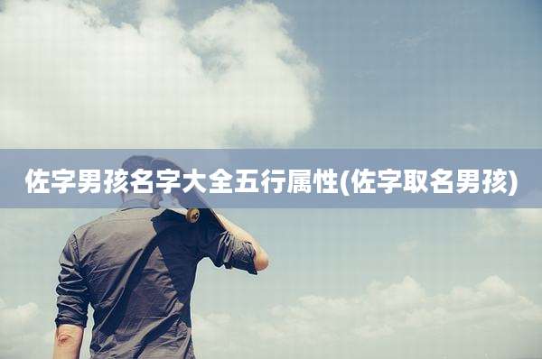 佐字男孩名字大全五行属性(佐字取名男孩)