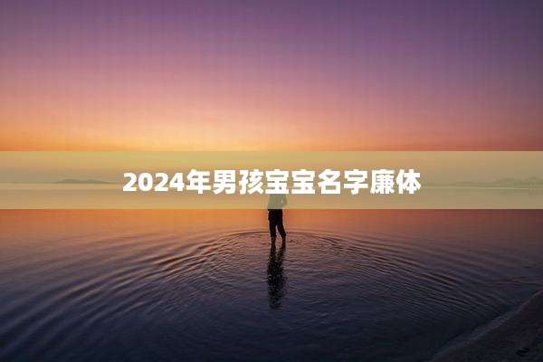 2024年男孩宝宝名字廉体