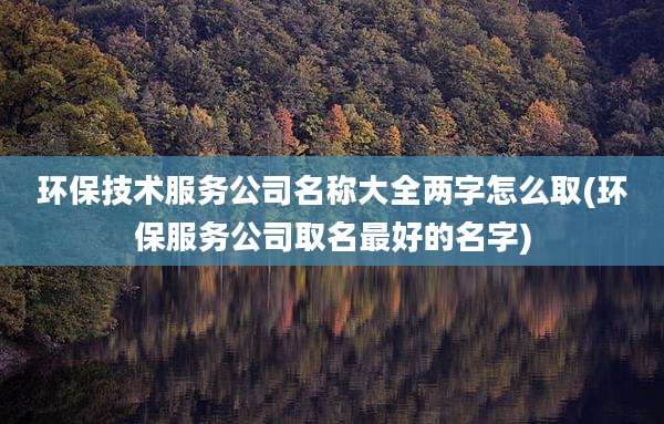 环保技术服务公司名称大全两字怎么取(环保服务公司取名最好的名字)