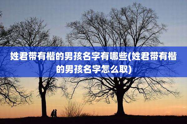 姓君带有楷的男孩名字有哪些(姓君带有楷的男孩名字怎么取)