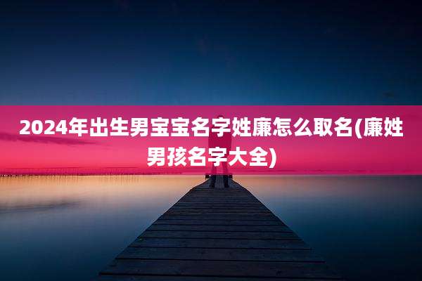 2024年出生男宝宝名字姓廉怎么取名(廉姓男孩名字大全)