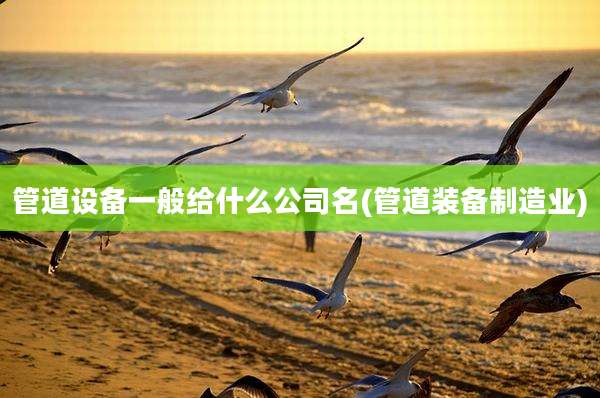 管道设备一般给什么公司名(管道装备制造业)