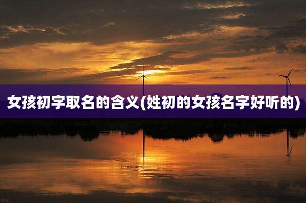 女孩初字取名的含义(姓初的女孩名字好听的)