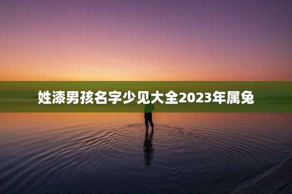 姓漆男孩名字少见大全2023年属兔