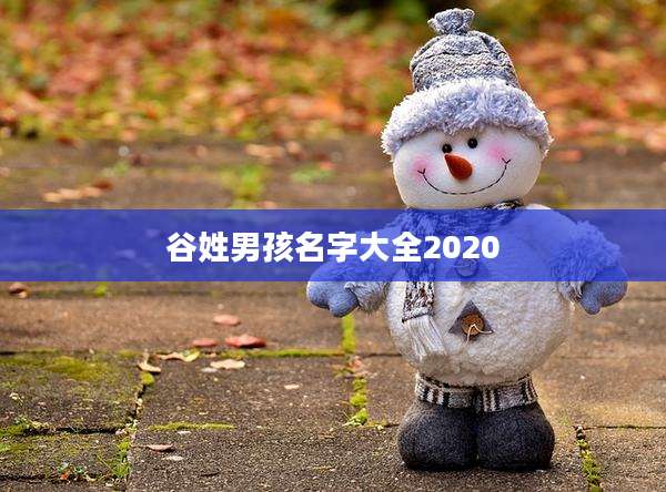 谷姓男孩名字大全2020