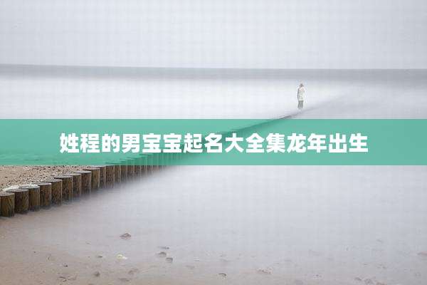 姓程的男宝宝起名大全集龙年出生