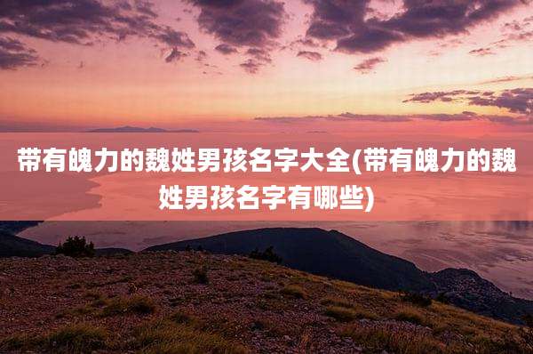带有魄力的魏姓男孩名字大全(带有魄力的魏姓男孩名字有哪些)