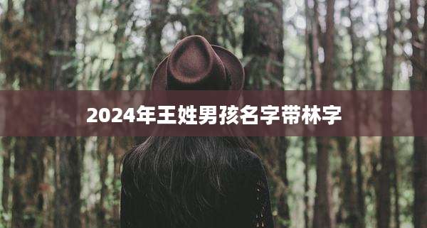 2024年王姓男孩名字带林字