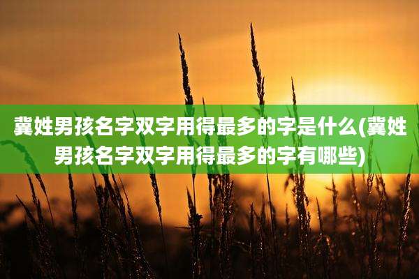 冀姓男孩名字双字用得最多的字是什么(冀姓男孩名字双字用得最多的字有哪些)