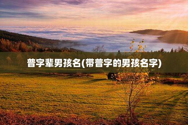 普字辈男孩名(带普字的男孩名字)