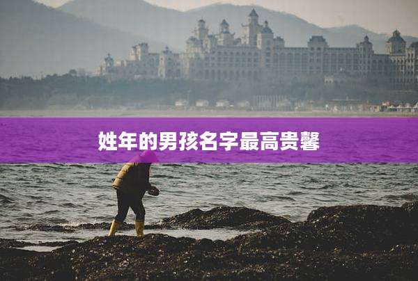 姓年的男孩名字最高贵馨