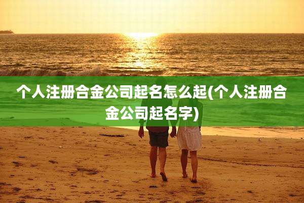 个人注册合金公司起名怎么起(个人注册合金公司起名字)
