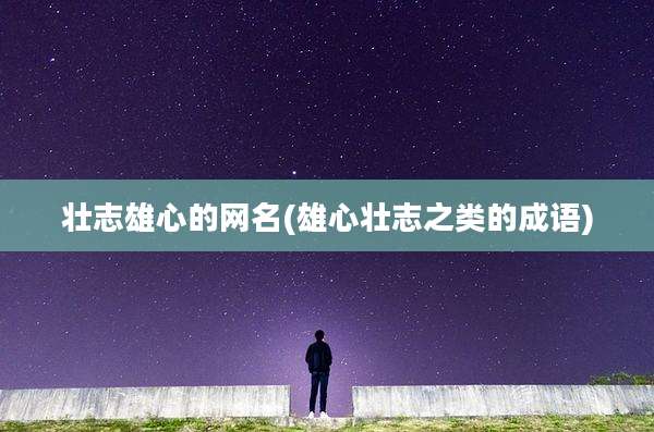 壮志雄心的网名(雄心壮志之类的成语)