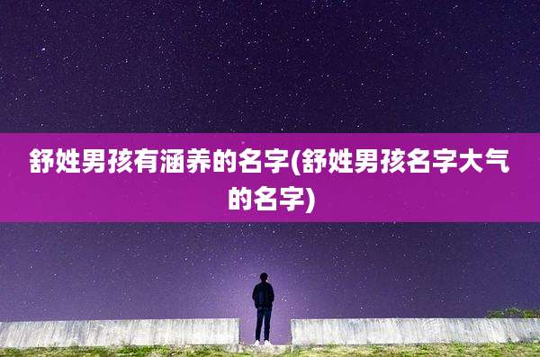 舒姓男孩有涵养的名字(舒姓男孩名字大气的名字)