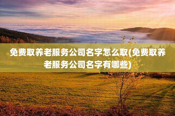 免费取养老服务公司名字怎么取(免费取养老服务公司名字有哪些)