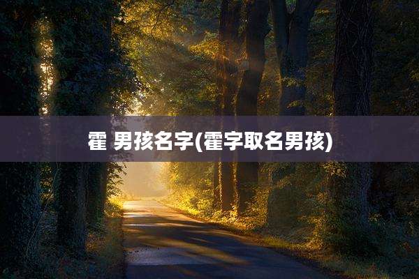 霍 男孩名字(霍字取名男孩)