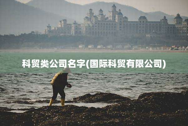 科贸类公司名字(国际科贸有限公司)