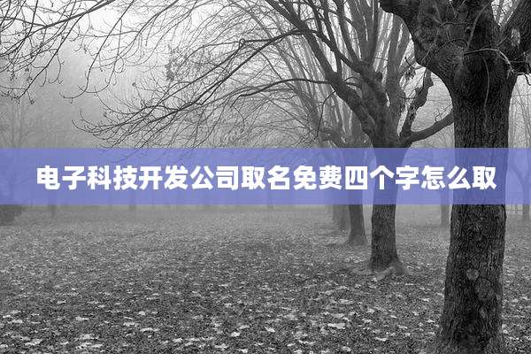 电子科技开发公司取名免费四个字怎么取
