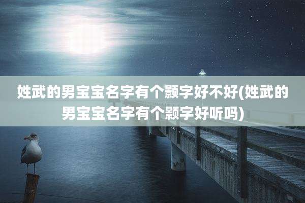 姓武的男宝宝名字有个颢字好不好(姓武的男宝宝名字有个颢字好听吗)
