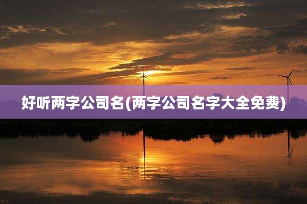 好听两字公司名(两字公司名字大全免费)