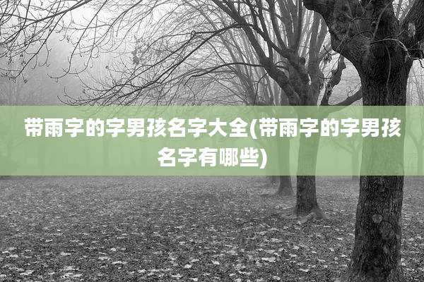 带雨字的字男孩名字大全(带雨字的字男孩名字有哪些)