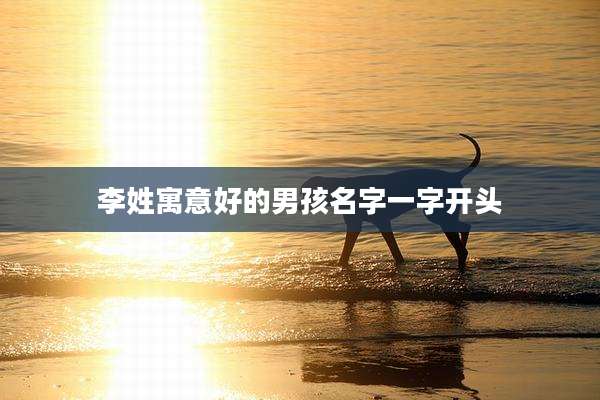 李姓寓意好的男孩名字一字开头