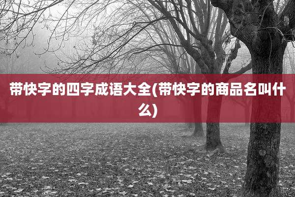 带快字的四字成语大全(带快字的商品名叫什么)