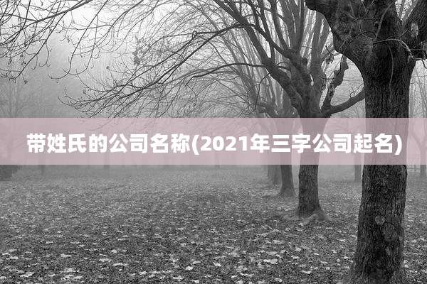 带姓氏的公司名称(2021年三字公司起名)