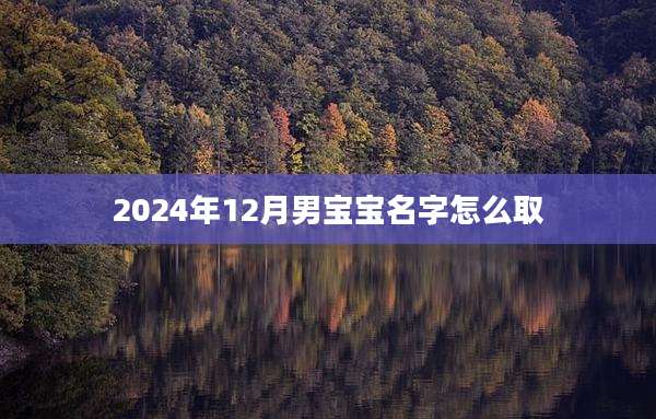 2024年12月男宝宝名字怎么取