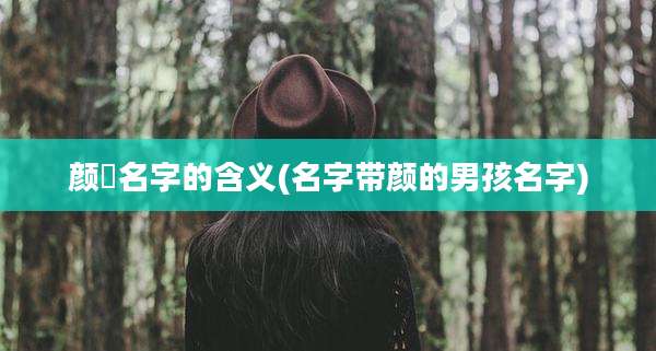 颜晞名字的含义(名字带颜的男孩名字)