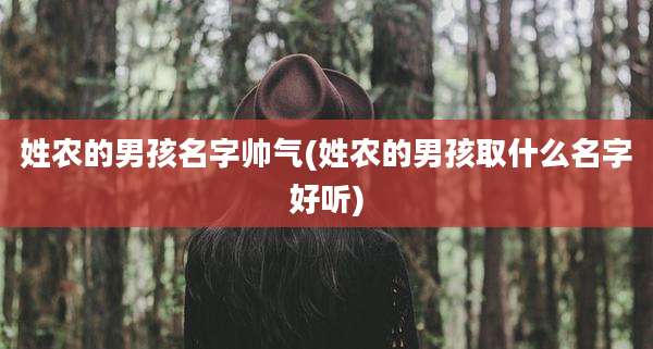 姓农的男孩名字帅气(姓农的男孩取什么名字好听)