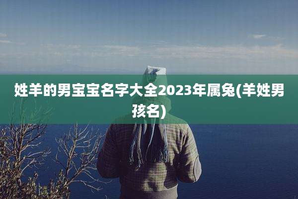 姓羊的男宝宝名字大全2023年属兔(羊姓男孩名)