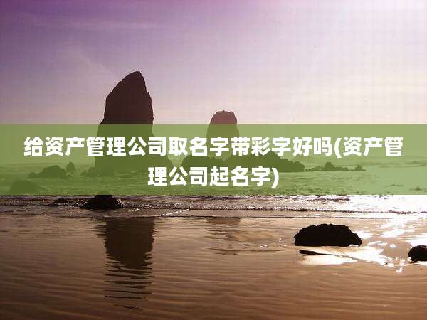 给资产管理公司取名字带彩字好吗(资产管理公司起名字)