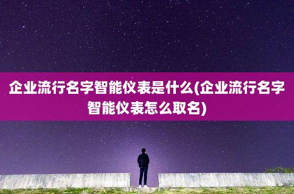 企业流行名字智能仪表是什么(企业流行名字智能仪表怎么取名)