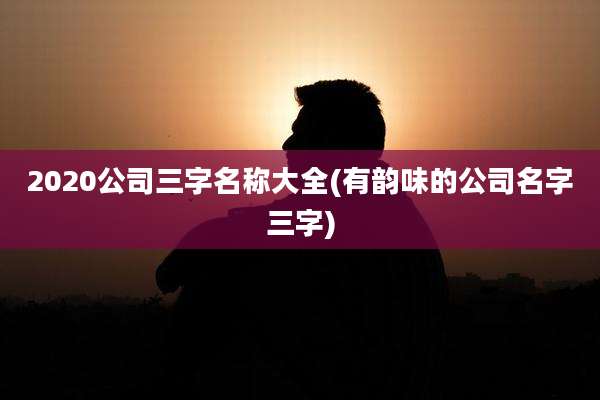 2020公司三字名称大全(有韵味的公司名字三字)