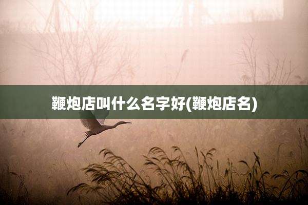 鞭炮店叫什么名字好(鞭炮店名)