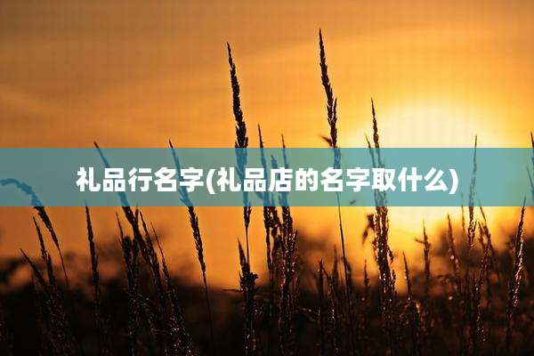 礼品行名字(礼品店的名字取什么)