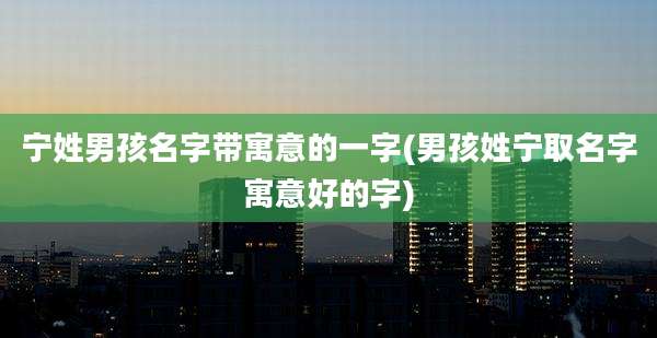 宁姓男孩名字带寓意的一字(男孩姓宁取名字寓意好的字)