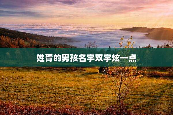 姓胥的男孩名字双字炫一点