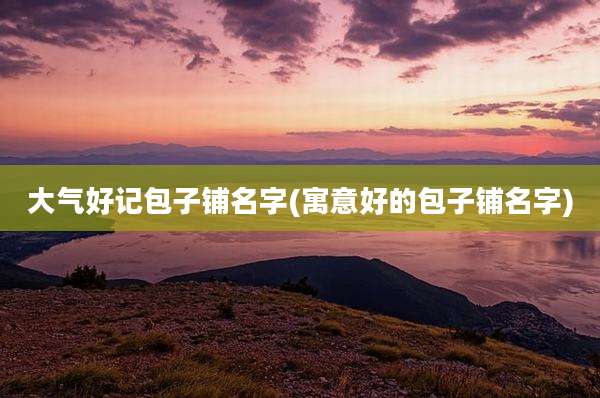 大气好记包子铺名字(寓意好的包子铺名字)